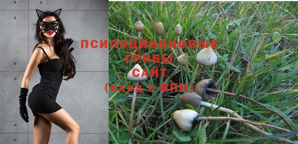 сатива Краснотурьинск