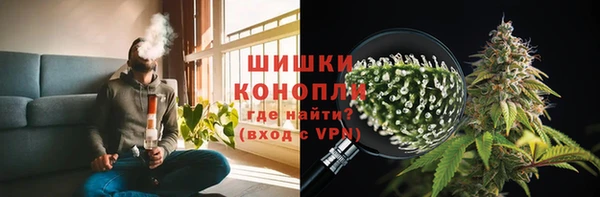 сатива Краснотурьинск