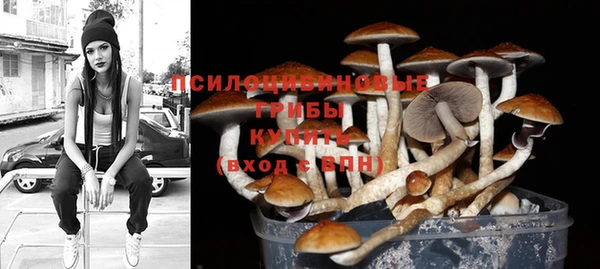 сатива Краснотурьинск