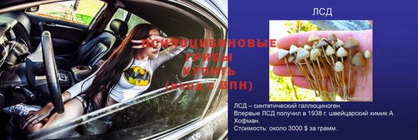 альфа пвп Краснослободск