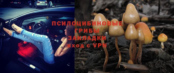 альфа пвп Краснослободск